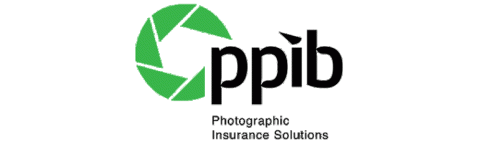 ppib logo