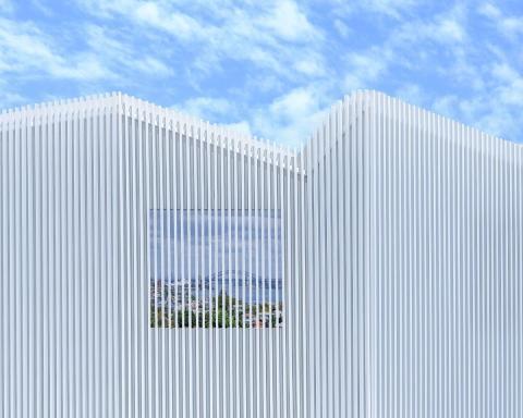 Image by Duncan Dodd