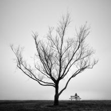 Image by Alan Wallace